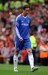 torres8