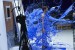 its_blue14